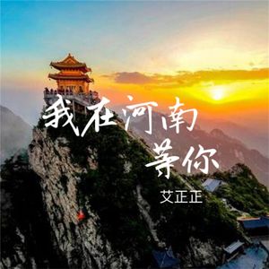我在河南等你(DJ版)