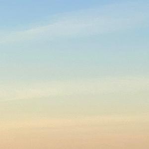 Teach Us Something New