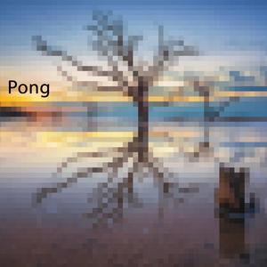 Pong