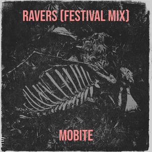 Ravers (Festival Mix)