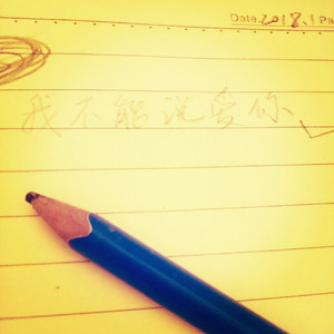 我不能说爱你demo