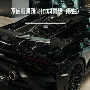 不后悔遇到你（DJ泪水模糊了我双眼）