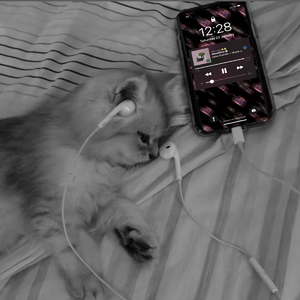 [Trap]BOBBYNOPEACE X SASIOVERLXRD Type beat - 陪伴