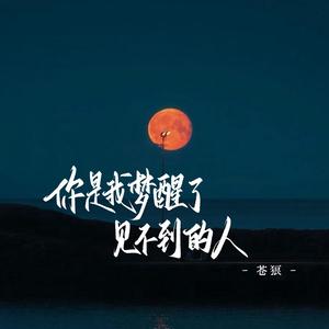 你是我梦醒了见不到的人
