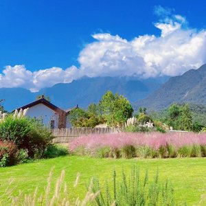 养我的人和我养的人（翻自 舒岩）