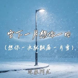 雪下一片想你一回 (想你一次飘落一片雪)