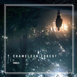 Chameleon Forest