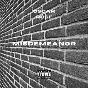 Misdemeanor