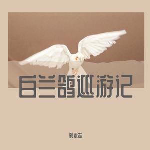 白兰鸽巡游记
