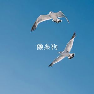 像条狗