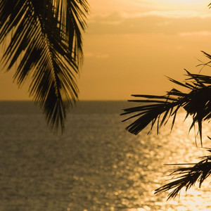 忘れがたき想い