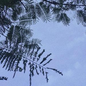 BIBI(Remix) [mqms2]