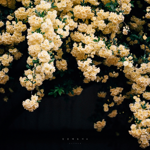 잠잘 때 들어요 (Night Ver.)