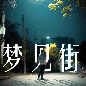 梦见街