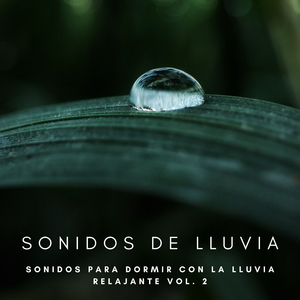 Tormenta De Relajación