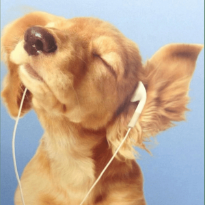 Made Sum Plans (Girl)