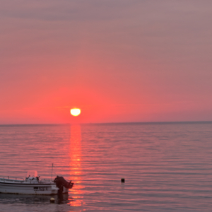 所谓遗憾