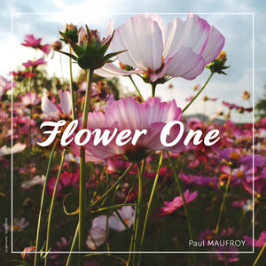 Giroflée (Wallflower)