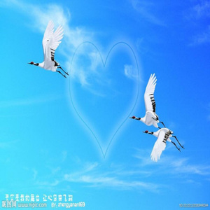 老公老公辛苦了 (摇并版)