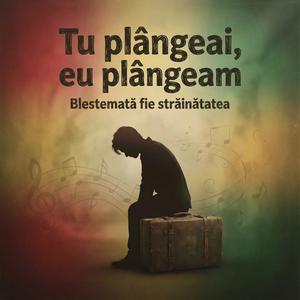 Tu plângeai, eu plângeam (Blestemată fie străinătatea)Reggae Chill Vibes