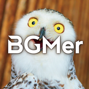 やらかしました