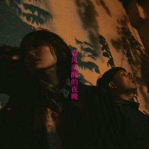 春风沉醉的夜晚