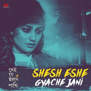Shesh Eshe Gyache Jani (From "Shei Je Holud Pakhi")