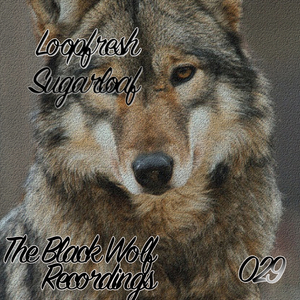 Sugarloaf (Original Mix)
