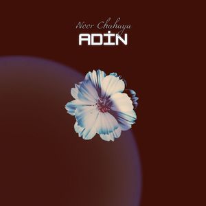 Adin