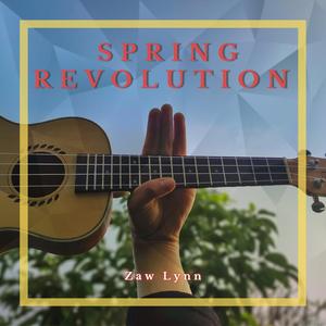 Spring Revolution
