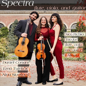 Trio for flute, viola, and guitar: I. Allegro
