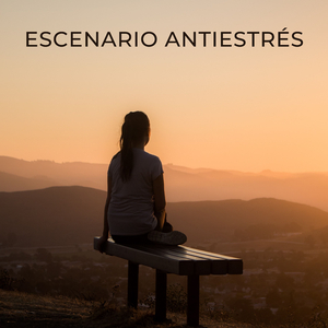 Explorando La Mente Y El Cuerpo