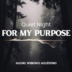 Quiet Night for My Purpose (Acoustic)