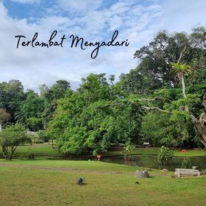 Terlambat Menyadari
