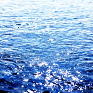 A Prairie on the Sea in B