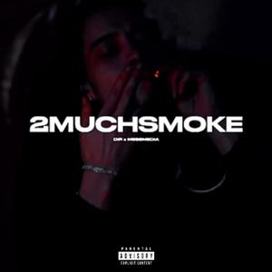2MUCHSMOKE