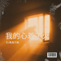 我的心着了火 (伴奏)