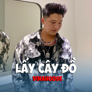 Lấy Cây Đồ (Vinahouse)