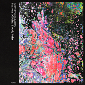 For the Victories to Come (A Personal Letter)