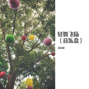 轻舞飞扬（音乐盒）