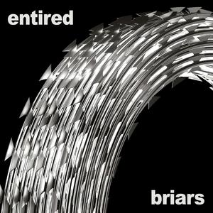 Briars