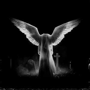 IMMORTAL