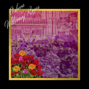 Withering Roses