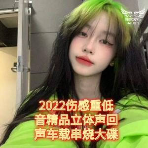 DJ国飞-2022伤感重低音精品立体声回声车载串烧大碟（DJ国飞 remix）