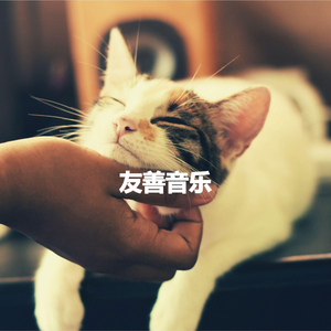 Energetic Soul Parties