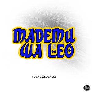 Mademu Wa Leo (feat. Suma Lee)
