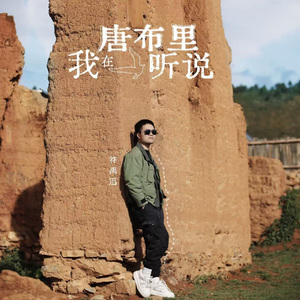 我在唐布里听说