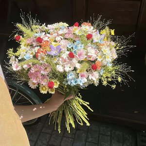 《借我一声叮咛》