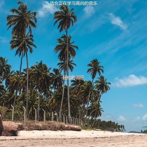 适合在家工作奢侈的音乐