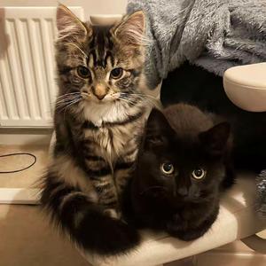 几分之几1x (我算什么)